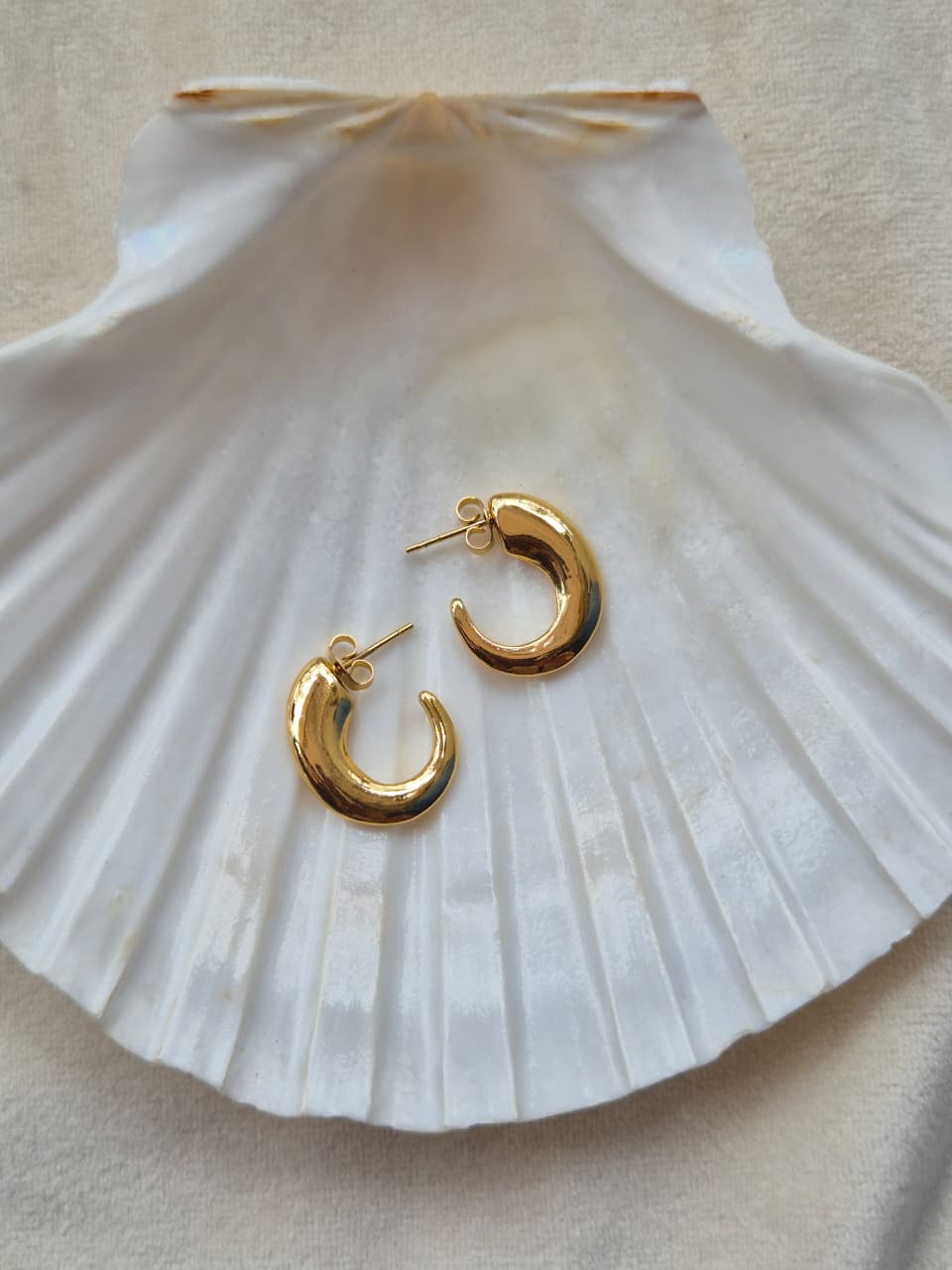 Bonnie Hoops