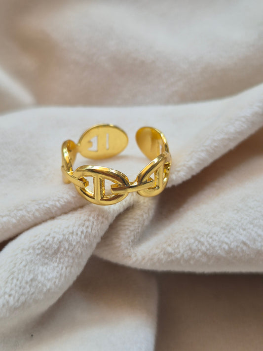 CD Ring (Adjustable)
