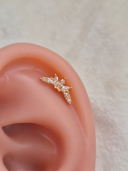 Celestia Studs