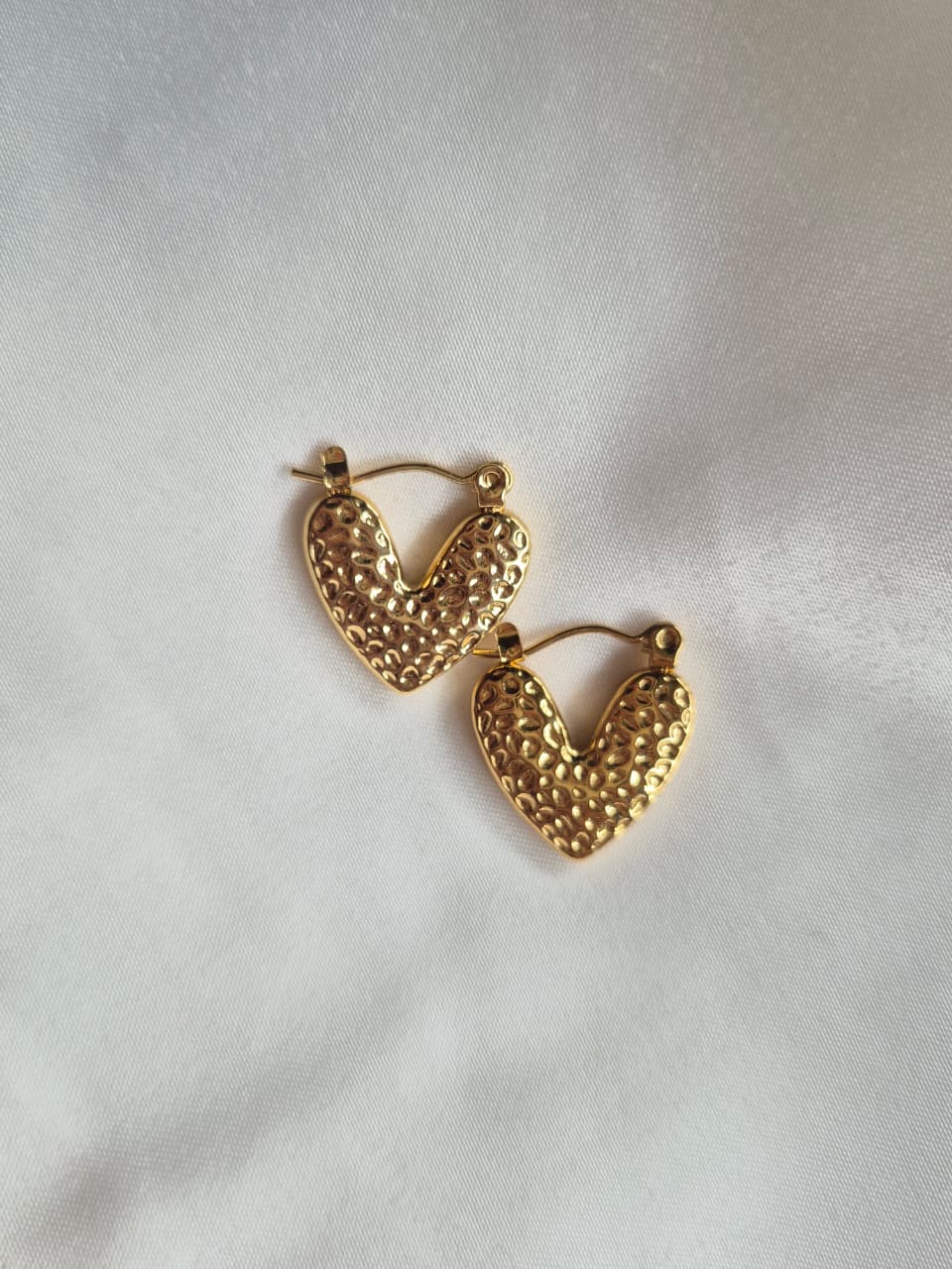 Emily Hoops