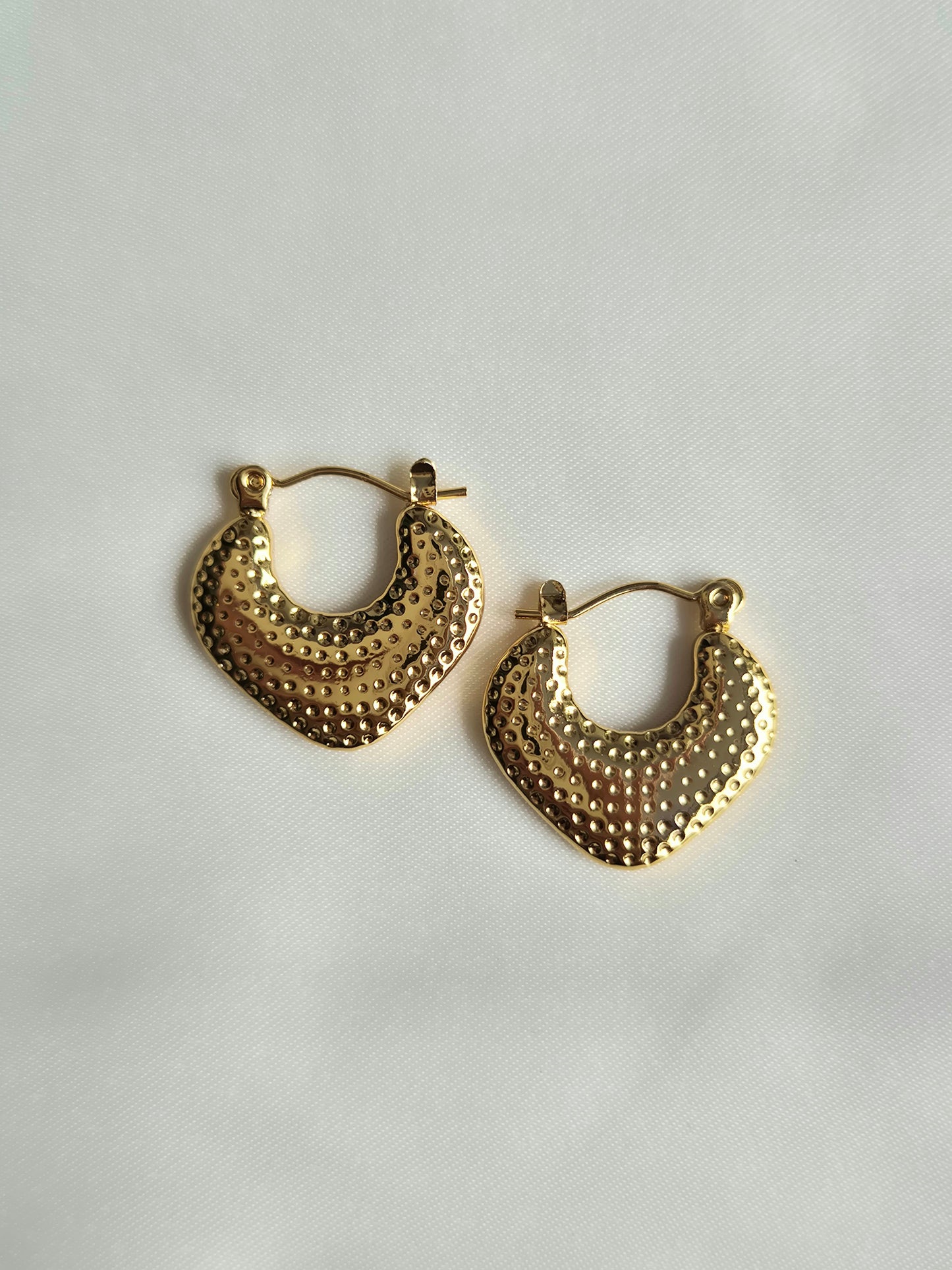 Nancy Hoops
