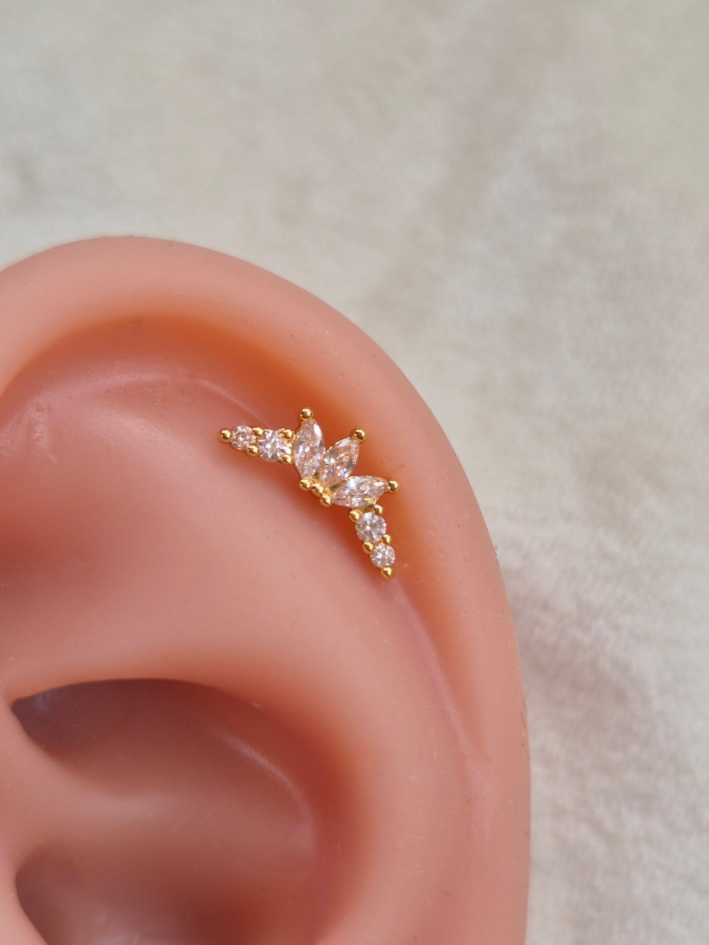 Celestia Studs
