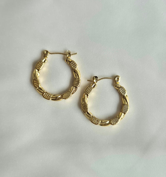 Stacy Hoops