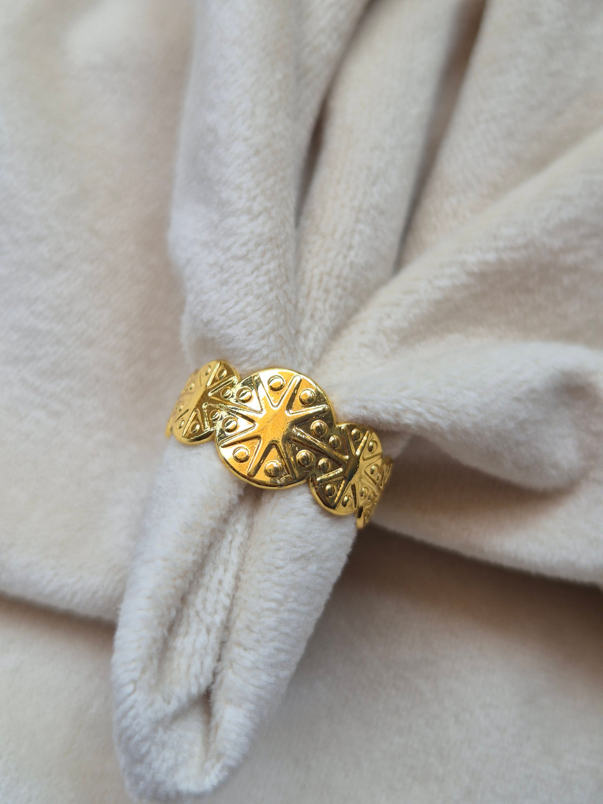 Pizza Ring (Adjustable)