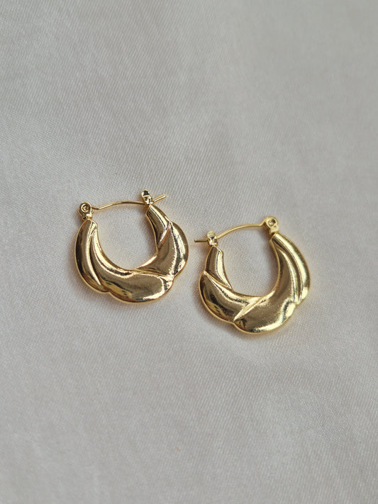 Max Hoops